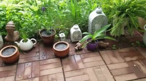 Декор в саду и в доме. Ненужные вещи для создания красивых композиций.