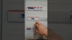 Трёхфазный щит в частный дом с реверсивным рубильником ABB OT63 и реле выбора фаз ПЭФ-319.ABB AT 42