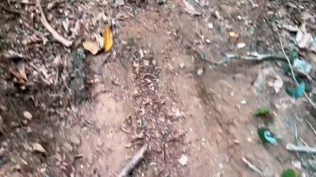 ЧОКНУТЫЙ ШКОЛЬНИК ЖЕСТИТ В ЛЕСУ!!! смотреть онлайн