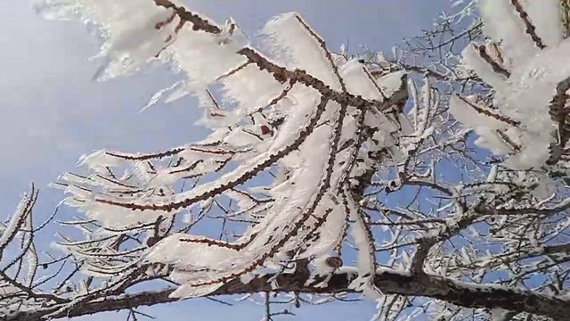 31 марта 2024 г. смотреть онлайн