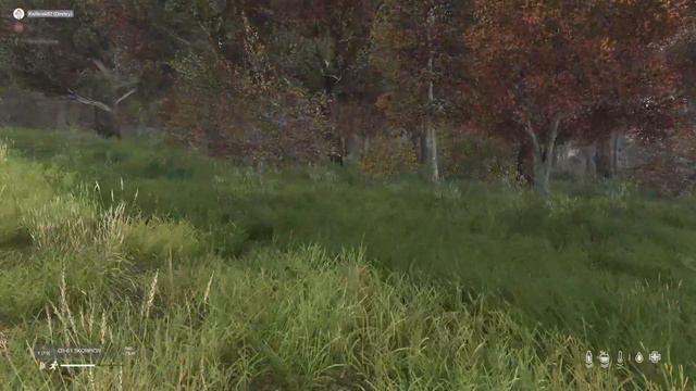 DayZ Рейдовый обзор карты Чернорусь (официальный сервер) #11 (FCTW)