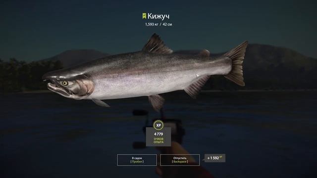 Ловлю + Фармлю НЕРКУ на Яме / Со дна Русской рыбалки. ( Russian Fishing 4/Русская рыбалка 4 ) смотреть онлайн
