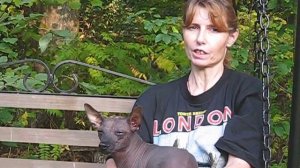 О ксолоитцкуинтли