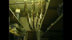 4 дня в Сайгоне