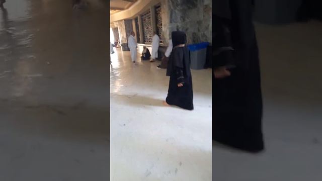 1 апреля 2023 г. смотреть онлайн