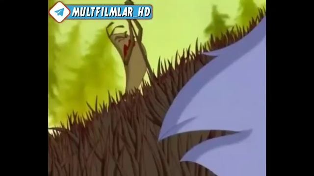 QIZIL QALPOQCHA VA BO‘RI uzbek tilida tarjima multfilm смотреть онлайн