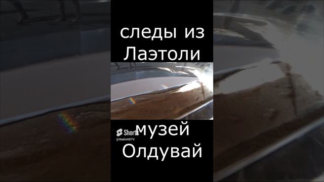 музей Олдувай - следы из Лаэтоли