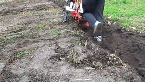 Мотоблок Фаворит, работа с плугом ПМ-2