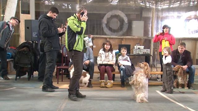 Выкрутасы Альмы смотреть онлайн