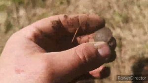 поехал покопал) весна 2023