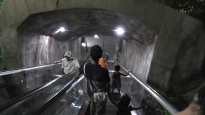 Вечерняя прогулка по парку развлечений Vinpearlland 05 30 2016