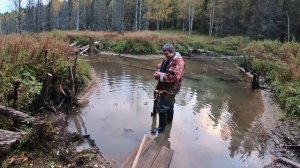 КТО ДОБЫЛ БОЛЬШЕ РЯБЧИКОВ. ОХОТА НА СПОР.  ОХОТА НА РЯБЧИКА.ЛЕСНАЯ ИЗБА