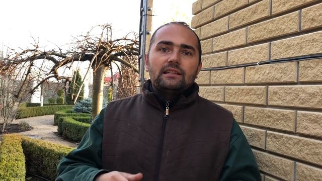 Когда заканчивать сезонную стрижку газона смотреть онлайн