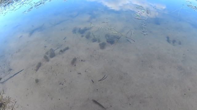 Подводный поиск-где же золото??? смотреть онлайн