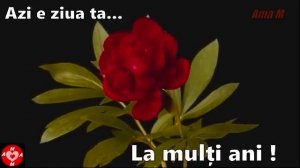 ✿❤✿ AZI E ZIUA TA......LA MULȚI ANI ! ✿❤✿