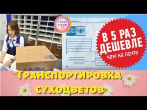 Как отправить быстро и дёшево посылку. Транспортировка сухоцветов. Личный опыт.