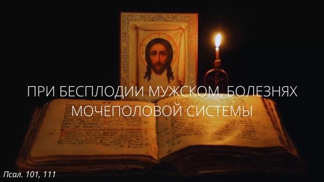65. При бесплодии мужском, болезнях мочеполовой системы