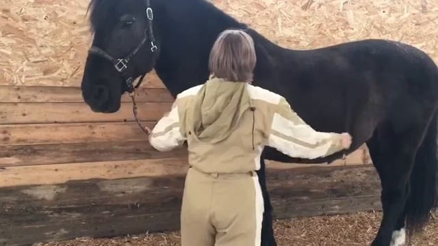 Урок "Кранч". Начало смотреть онлайн