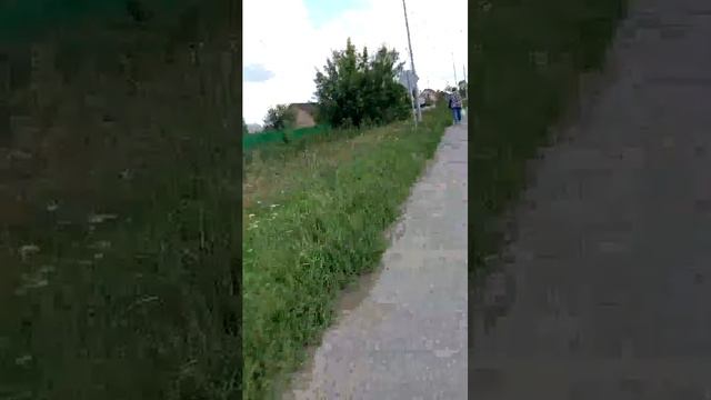 Живём