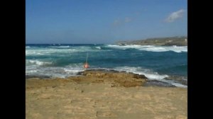 ПОЛЮБИЛ МЕНЯ  МАКАРКА ВОДОВОЗ!!!