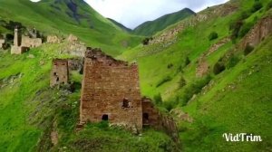 Даймохк Арби Цураев