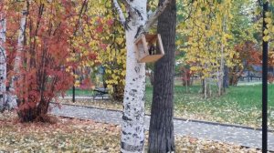 Осень.