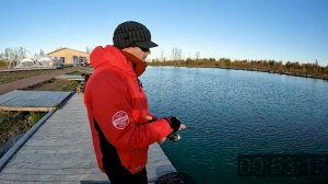 Не смог подобрать приманку и с треском проиграл. Ловим  прудовую форель на силикон. AKARA Maggot 1.6