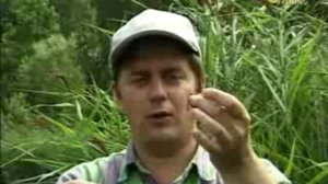 11 Вращающиеся блёсны