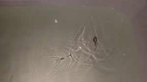 НЕзацепляйка Рябцева