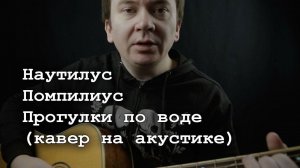 Наутилус Помпилиус - Прогулки по воде (кавер на акустической гитаре от Alpidovsky)