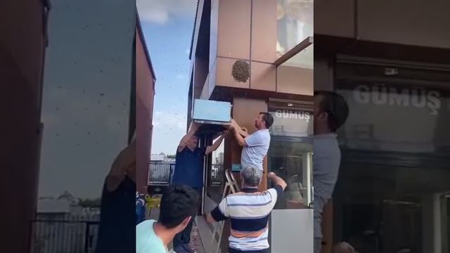 Видео,приколы,юмор,смех