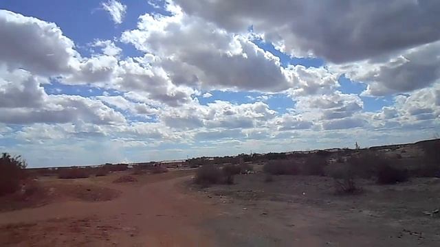 Угол дач Коунрада произвёл хорошее впечатление - даже облепиха растёт!