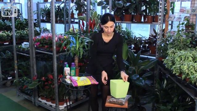 Сад и огород смотреть онлайн