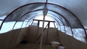 Содержание гусей в теплице