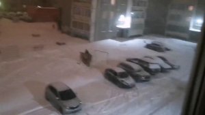 Снег кружится... - ВИА Пламя.mp4