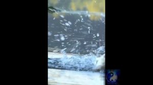 Поклёвка и есть. #Shorts