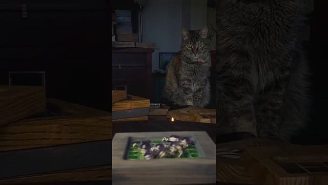 Настенный декор, подставка под мелочи, подсвечник - все в одном :) смотреть онлайн