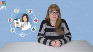 Хламидиоз у кошек-причины,симптомы,лечение