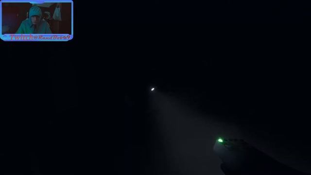 Idiot's use SPIRIT BOX!! Phasmophobia смотреть онлайн