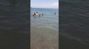 Худжанд сирдарё