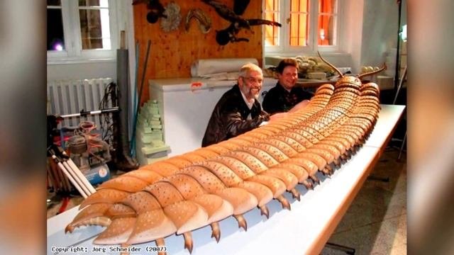 10 ВЫМЕРШИХ ЖИВОТНЫХ