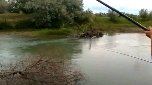 У реки Талас, Тараз, 2009-2012 годы (Джамбул, Сарыкемер, Михайловка, Туймекент, Буденновка)