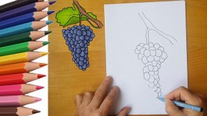 How to draw ripe grapes