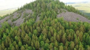 Черная сопка. Березовский район. Красноярский край.