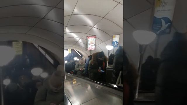 Метро Питера сколько масочников смотреть онлайн