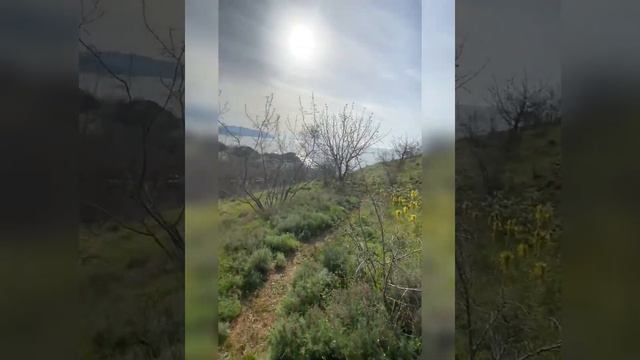 Крым Морское Развалины старого замка Чобан-Куле