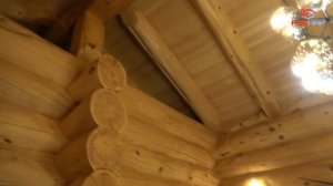 Уникальная БАНЯ из КЕДРА. Строительство бани из кедрового сруба большого диаметра
