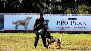 Ирис раздел С 87 б, испытания по ИПО 1 06-07.09.14 г