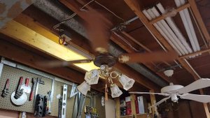 SMC Laguna Ceiling Fan