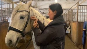 Инструктор по верховой езде: почему лошадь кусается и за что может лягнуть